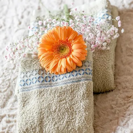 Summer Flower Apartment, Park Albatros, Close To The Ocean,golf Del Sur Appartamento *