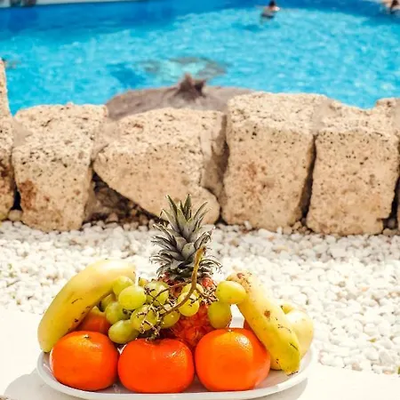 Summer Flower Apartment, Park Albatros, Close To The Ocean,golf Del Sur Apartament San Miguel de Abona