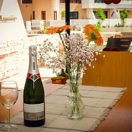 Summer Flower Apartment, Park Albatros, Close To The Ocean,golf Del Sur Apartament *